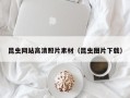 三河昆虫网站高清照片素材（昆虫图片下载）